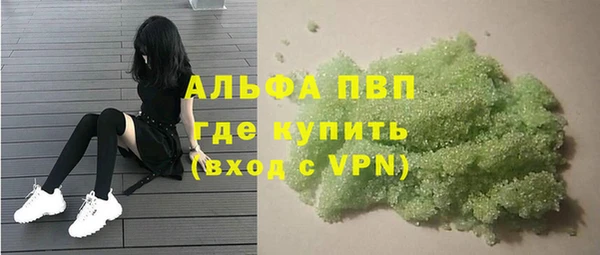 прущие грибы Елабуга