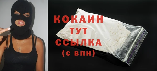 ALPHA PVP Ельня