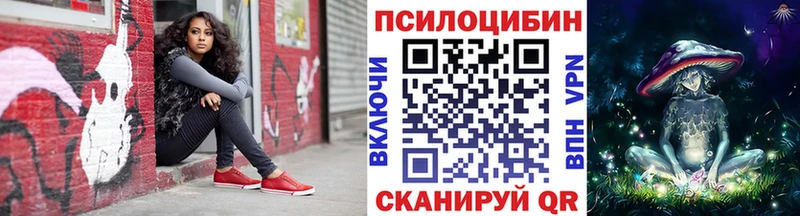 Галлюциногенные грибы прущие грибы  где найти   Баксан 